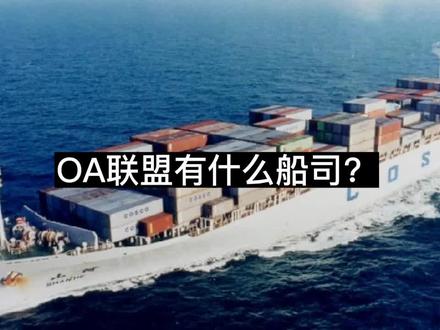 OA联盟有什么船司?#亚马逊 #跨境电商 #外贸 #海运 #国际物流 @抖音小助手