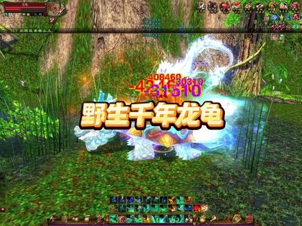 圣兽山抓龙龟 #新天龙八部端游