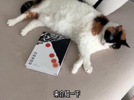 小户型猫砂盆柜手搓|好看且实用! 市面上成品猫砂盆柜要么太贵要么太丑。
而且很难跟家里尺寸完美适配。
—
那就跟我一起动手做起来吧。真的很简单!
#猫砂盆柜 #适猫化设计 #人猫共用家具 #小户型养猫