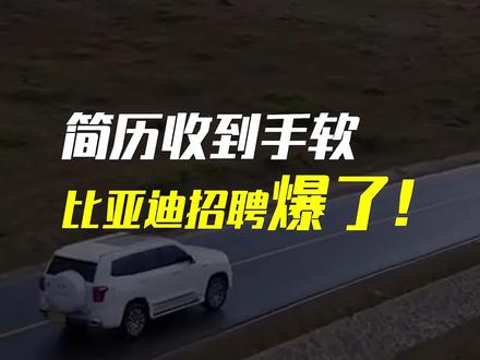 【24小时,爆收12万份简历】中国产业升级,后劲真大!#财经 #汽车 #科技 #涨知识 #商业思维