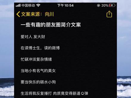 有趣的朋友圈简介文案