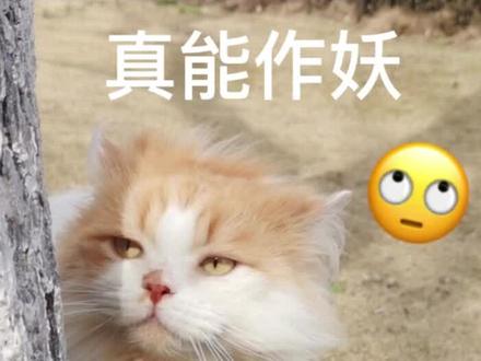 这是谁家诡计多端的的“小作精”啊!
奥,原来是我家的!#恋爱 #甜文 #小说