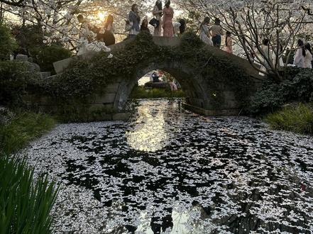 “女儿心总如水 起伏而迂回” #女儿心如水 #女儿心如水黄龄版