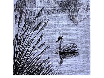 零基础秒变大神!风景画不是有笔就能画嘛#画画 #零基础学画画 #画画其实很简单 #治愈系绘画教程 #创作灵感