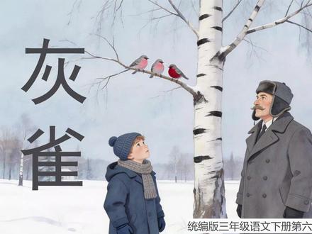部编版语文三年级下册20.灰雀 第一课时PPT