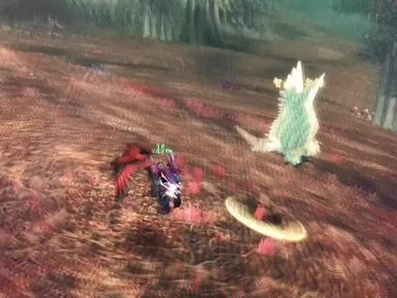 看着挺好看的,抓来以后和东泉的一样。#魔兽世界怀旧服