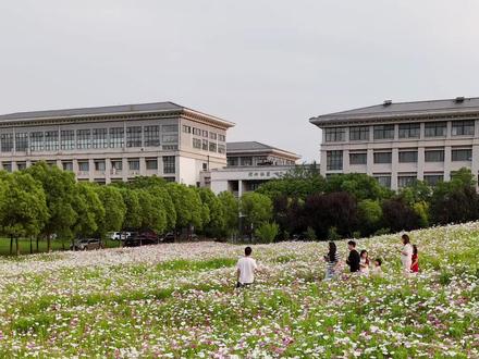 一片属于小陶子的花海#花海 #校园 #南京晓庄学院 #高考 #航拍