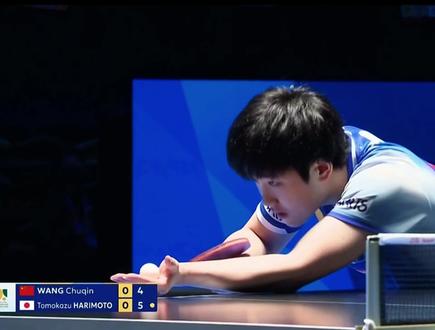 #王楚钦vs张本智和 每一球都很精彩🏓张本智和怎么打,还得看你头哥🦁