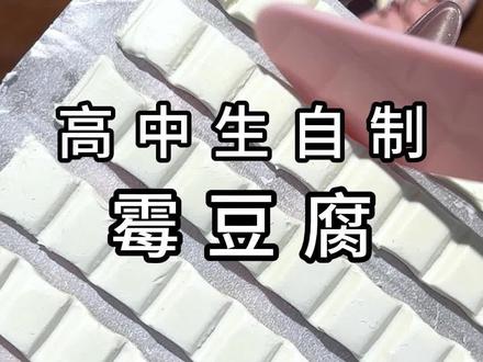 但凡网瘾小的人都不知道我在干嘛#霉豆腐 #豆腐乳 #搞笑 #抽象 #二次元 @DOU+小助手