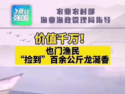 价值千万!也门渔民“捡到”百余公斤龙涎香 #捕鱼 #渔民日常 #鲸鱼 #海洋生物 #龙涎香