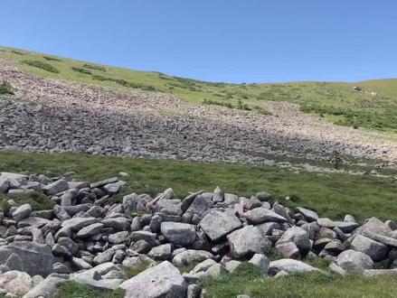 秦岭山脉水窝子处,发现黑熊#秦岭故事汇