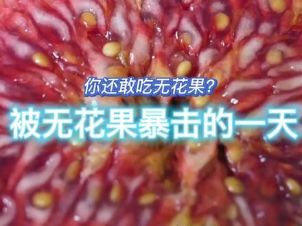 无花果的梗,久久不能释怀!你还敢吃吗?