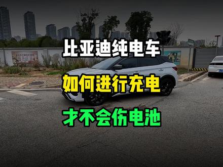 比亚迪纯电车如何进行充电才不会伤害到电池! #比亚迪 #元Plus #海鸥 #海豚 #宋L #用车知识