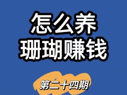 #珊瑚 #海缸日记 养好藻是基础#海缸 #辰星