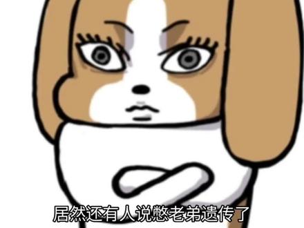 七鹤大人露脸了#恶搞之家