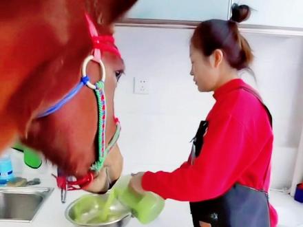 駿馬進屋討水喝