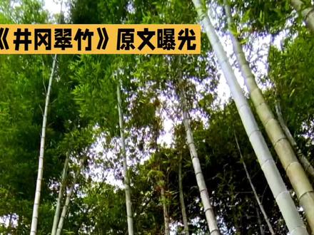 中学课文,“井冈翠竹”原课文,欣赏。