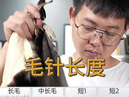 买貂必看之毛针长度#貂皮大衣 #专业的事交给专业的人 #水貂