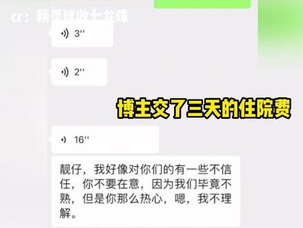 这是我这个月刷到最善良的视频#流浪狗 #善良