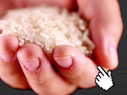 中国为什么大量进口印度大米?我国还用进口大米吗?主要从哪些国家进口?2023年国际农产品市场与贸易(春季)论坛,专家解释解释背后原因#印度 #国际贸易 #粮食 #进出口贸易 #经济 #大米 #水稻 #饲料 #生猪养殖 #进口饲料