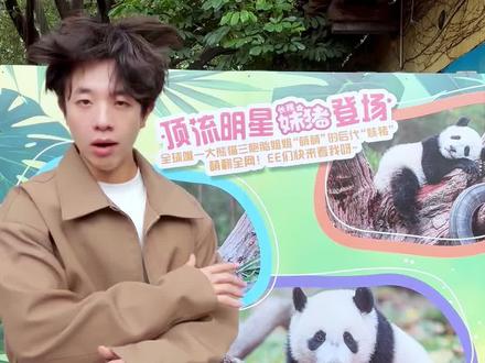 终于见到了萌萌的妹猪!! #vlog日常 #妹猪 #熊猫