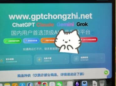 GPT为什么掉订阅?为什么我的用了半年都很稳定#chatgpt#gptplus#研究生#AI#真实生活分享计划