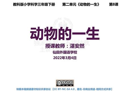 新教科科学3下-动物的一生
