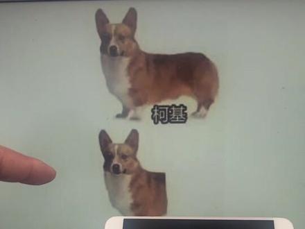 #vlog我的日常 很多粉丝说 有时候听不懂东北方言,今天就教大家几个“东北单词”