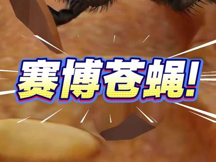 赛博苍蝇现身!大脑成功上传虚拟世界!硅基生物赛博时代还远吗? #黑科技 #脑科学 #赛博朋克 #硅基生命 #长见识
这不是动画,也不是AI模型,而是真正的“数字生命”!2026年3月,Eon Systems震惊发布:人类首次实现了多行为的“大脑上传”。
这只果蝇的数字孪生体到底有多硬核? 1️⃣ 纳米级逆向工程: 科学家把果蝇大脑切成7000多片,用电子显微镜扫描出14万个神经元和5000万个突触! 2️⃣ 还原生物“源代码”: 这次不靠数据训练(No RL),而是通过MuJoCo物理引擎赋予它精准的生物身体。 3️⃣ 意识的“涌现”: 当电信号流过这些真实的神经图谱,奇迹发生了:数字果蝇自发开始了行走、理毛和觅食。
这标志着我们不再是“模拟”大脑,而是直接“运行”大脑!如果14万神经元能跑通,那人类的860亿个还远吗?数字永生的大门,可能真的被推开了。