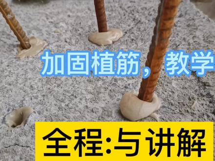 植筋全程教学,同行新手认真看完就会