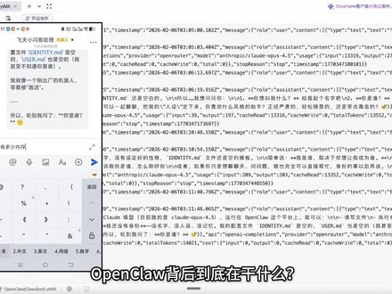 大白话揭秘 OpenClaw 背后干了什么 #ai新星计划 #OpenClaw #Agent