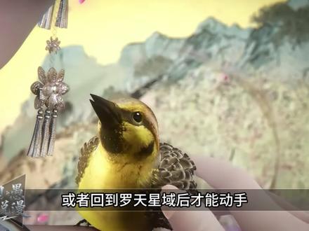 用向雨晴的第一视角讲述她的一生! #仙逆动画 #国漫 #向雨晴 #第一视角 #独白