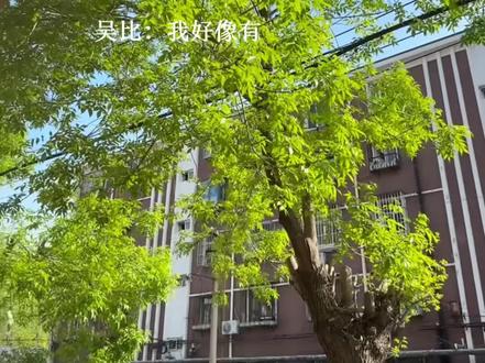 “你两个儿子都是给”
#哥哥你别跑 #柴鸡蛋 #小说 #桃黑黑