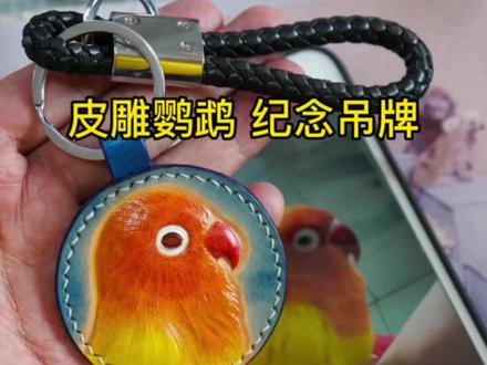 有了它的陪伴生活逐渐有了光明。学会了爱与被爱。希望它不曾离开只是换了种方式陪伴。#萌宠 #宠物毛发纪念品 #鹦鹉