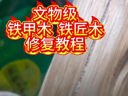 大家觉得我对铁甲木铁匠木的修复能力如何?#每天跟我涨知识 #三农 #鞭杆 #铁甲木#手工