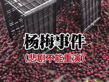 福建杨梅事件 福建漳州杨梅事件,商家被罚了,问题杨梅被销毁了,但从福建到浙江,从果农到果贩,整个行业却塌方了。食品安全不能靠热搜驱动,否则同样的剧本还会再次上演。#杨梅 #福建 #果农 #食品安全 #商家