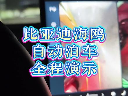 比亚迪海鸥自动泊车全程演示 #掌握自己的方向盘 #比亚迪海鸥 #智驾 #自动泊车 #驾驶技巧