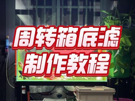 周转箱底滤制作教程(附材料清单)#周转箱底滤 #鱼缸过滤 #制作过程 #好东西一起分享给大家 #求个万柿圆满如意