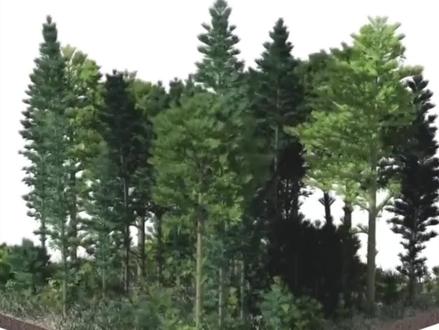 模拟虚拟世界1000年,森林这样变化【科技又有料】#AI #模拟世界 #元宇宙 #生机无限