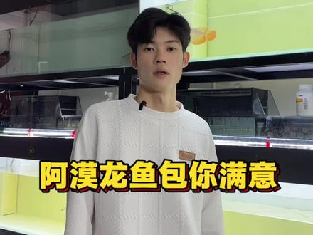 龙鱼有多猛-阿漠龙鱼包你满意#阿漠龙鱼#龙鱼#观赏鱼#红龙