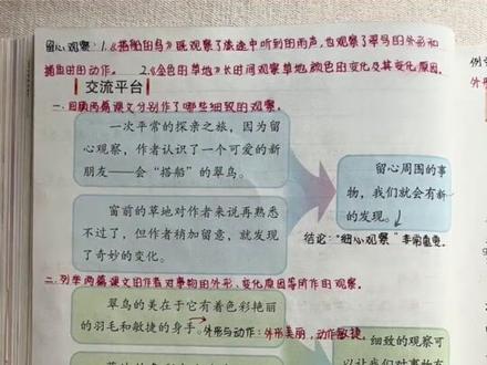 部编版语文小学三年级上册课文16《金色的草地》内容讲解,学会用善于观察的眼睛去观察大自然,发现大自然的奥秘。#预习课本 #学霸笔记 #每天学习一点点 #三年级上册语文 #一起学习