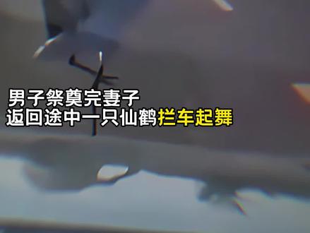 “请我为你再跳一支舞”
#爱情#泪崩#情感共鸣