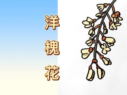 看动画学画画#洋槐花#儿童画 #简笔画 @抖音小助手 @DOU+小助手