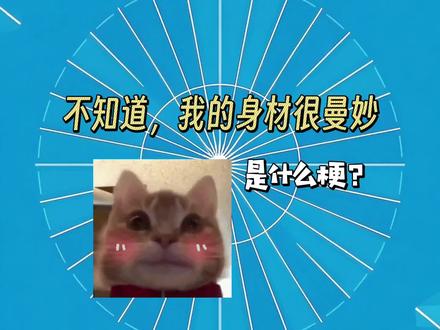 不知道,反正我的身材很曼妙是什么梗?#搞笑 #抽象 #我的身材很曼妙 #日常
