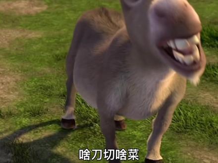 啥人啥对待#搞笑 #搞笑的毛驴