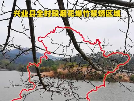 兴业县全时段烟花爆竹禁燃区域