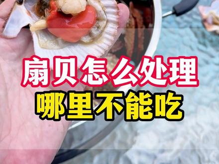 扇贝怎么处理, 哪里不能吃?#海鲜 #海鲜知识