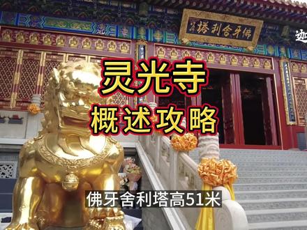 灵光寺概况攻略 #灵光寺 #旅游攻略 #祈福