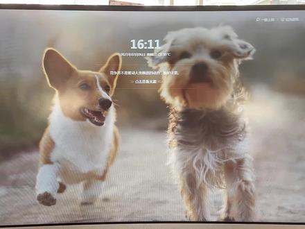 你电脑上安装了360吗?赶快来关闭这些功能设置,它们竟然会偷偷 #360弹窗广告 #360屏保关闭