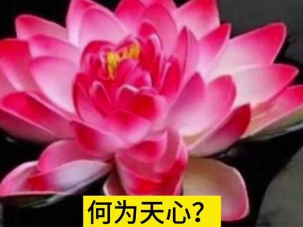 道破“天心”之秘
#杨公风水